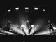 I cani in concerto al Flowers Festival di Collegno