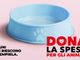 Sabato torna l'appuntamento con “Dona la Spesa per gli amici animali”