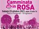 Ottobre in Rosa,  a Grugliasco la prevenzione contro il tumore al seno cammina al Parco Porporati