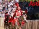 Il capitano del Palio Michele Gandolfo - MerfePhoto