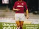 Al Museo del Grande Torino a Grugliasco tutto pronto per la mostra su Walter Schachner