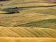 Confagricoltura Piemonte chiede di sostenere i giovani agricoltori