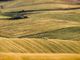 Il mondo delle piccole e medie imprese cresce anche tra i campi: domani il pmi day in agricoltura