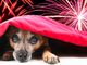 Grugliasco dice no ai botti di Capodanno