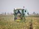 trattore nei campi