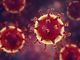 il coronavirus Covid-Sars-19