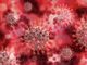 il virus del Covid al microscopio