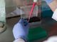 laboratori analisi con mani in primo piano tra pipette e provette