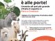 Save the date: Petsfestival 2023