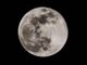 luna piena