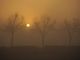 Sole e nebbia - immagine d'archivio