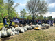 raccolta di rifiuti plastici in Piemonte