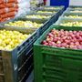 Scaffali dei supermercati vuoti al Sud, Caat: "Da noi rallentamento arrivo merce. Rispetto a Gdo più fornitori"