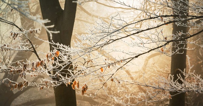 Foto di Ales Krivec - tramite Unsplash Foto di Ales Krivec - tramite Unsplash