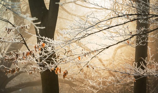 Foto di Ales Krivec - tramite Unsplash