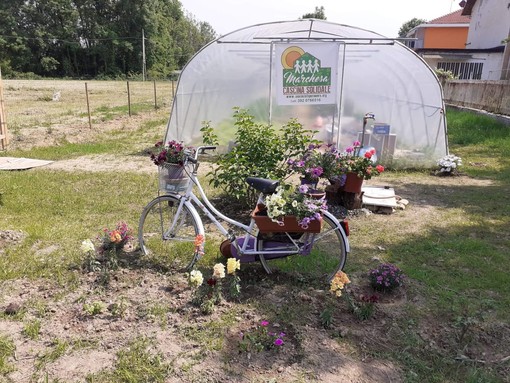 Coronavirus, annullata e rinviata a maggio 2021 la StraGrugliasco in bicicletta Coronavirus, annullata e rinviata a maggio 2021 la StraGrugliasco in bicicletta