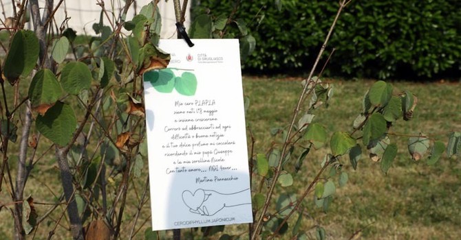 Ambiente, al via a Grugliasco la quinta edizione di "Dona un albero"