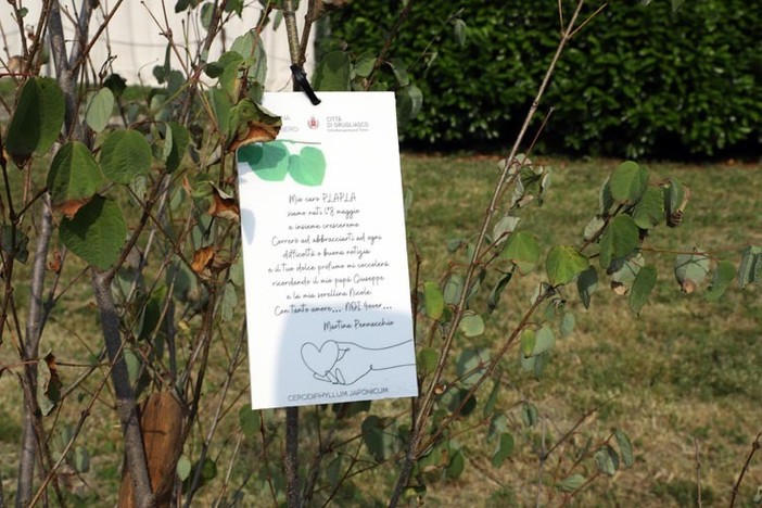 Ambiente, al via a Grugliasco la quinta edizione di "Dona un albero"