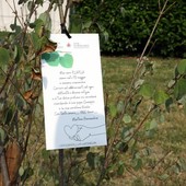 Ambiente, al via a Grugliasco la quinta edizione di "Dona un albero"