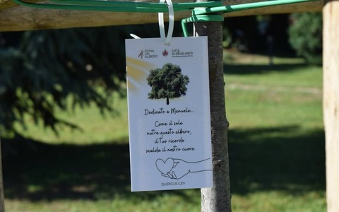 A Grugliasco c'è ancora tempo per "Dona un albero 2026"