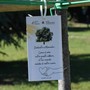 A Grugliasco c'è ancora tempo per "Dona un albero 2026" A Grugliasco c'è ancora tempo per "Dona un albero 2026"