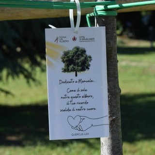 A Grugliasco c'è ancora tempo per "Dona un albero 2026"