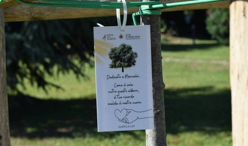 A Grugliasco c'è ancora tempo per "Dona un albero 2026"