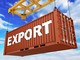 cargo con scritta export in bianco cargo con scritta export in bianco