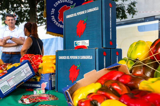 Sua maestà il Peperone di Carmagnola, cosa lo rende così unico