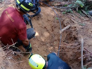 Il salvataggio dei due cagnolini Il salvataggio dei due cagnolini