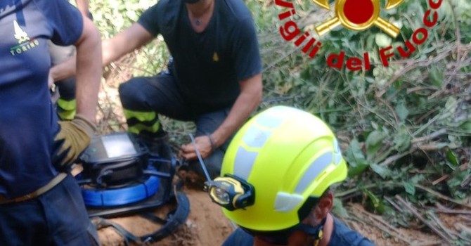 Il salvataggio dei due cagnolini Il salvataggio dei due cagnolini