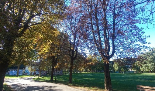 Grugliasco, nuovo appuntamento con “RigeneriAmo i Parchi”