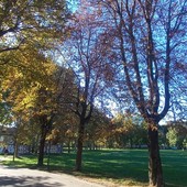 Il parco Dalla Chiesa Il parco Dalla Chiesa