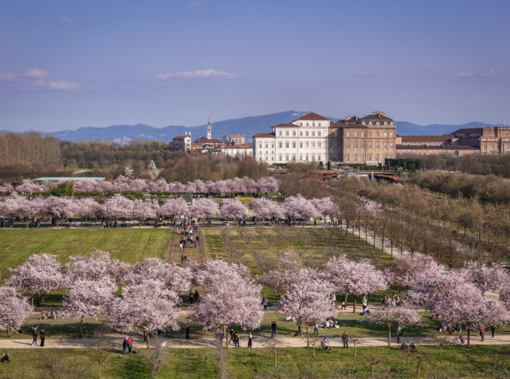 Foto di Michele d'Ottavio