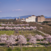 Foto di Michele d'Ottavio