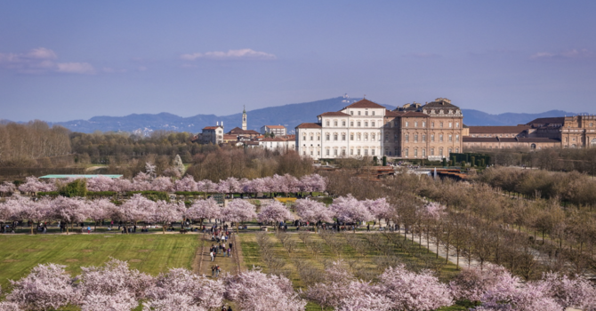 Foto di Michele d'Ottavio