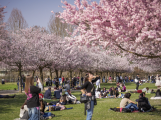 Foto di Michele d'Ottavio Foto di Michele d'Ottavio