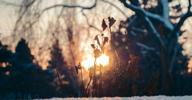 Samuel James - tramite Unsplash