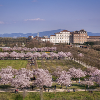 Foto di Michele d'Ottavio