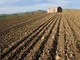 Agricoltura, aperto il bando regionale da 2 milioni di euro per migliorare le aziende agricole