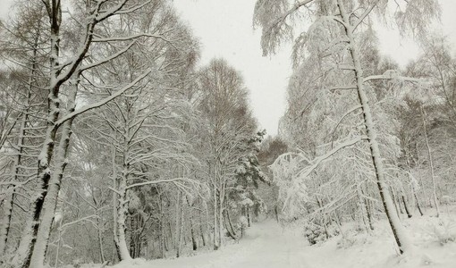 Meteo: continua il freddo e vento sulle pianure, neve sulle Alpi