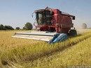 Piano per la qualità dell'aria: "In assenza di modifiche  a rischio il settore agricolo"