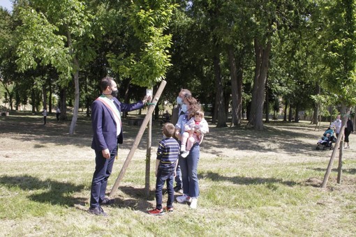 Sindaco con bambino e mamma vicino a un albero