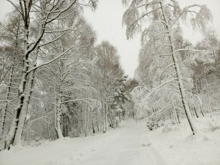 Meteo: continua il freddo e vento sulle pianure, neve sulle Alpi