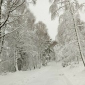 Meteo: continua il freddo e vento sulle pianure, neve sulle Alpi Meteo: continua il freddo e vento sulle pianure, neve sulle Alpi