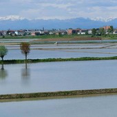 campo coltivato pieno d'acqua