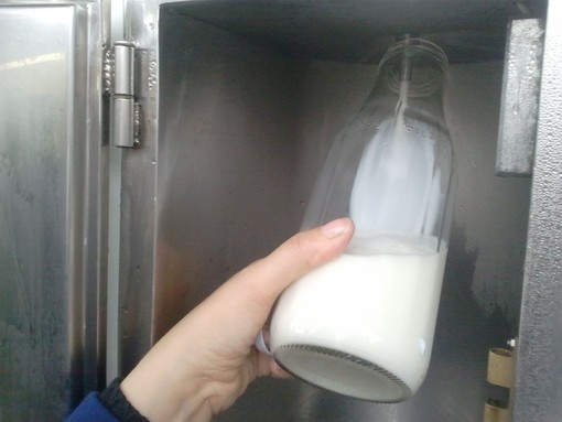 Il latte, un compagno di vita, spesso demonizzato, che è invece, tracciato, controllato e ancora poco conosciuto Il latte, un compagno di vita, spesso demonizzato, che è invece, tracciato, controllato e ancora poco conosciuto