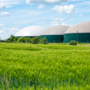Biogas: si apre una nuova filiera tecnologica per il ritiro dell'energia dai produttori