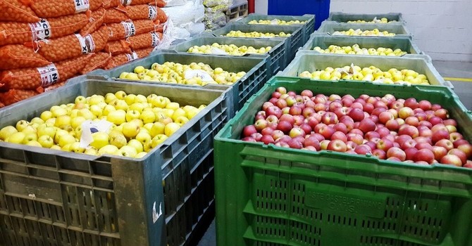 Scaffali dei supermercati vuoti al Sud, Caat: "Da noi rallentamento arrivo merce. Rispetto a Gdo più fornitori" Scaffali dei supermercati vuoti al Sud, Caat: "Da noi rallentamento arrivo merce. Rispetto a Gdo più fornitori"