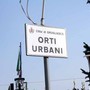 Orti urbani, ultimi momenti a Grugliasco per aderire al nuovo bando